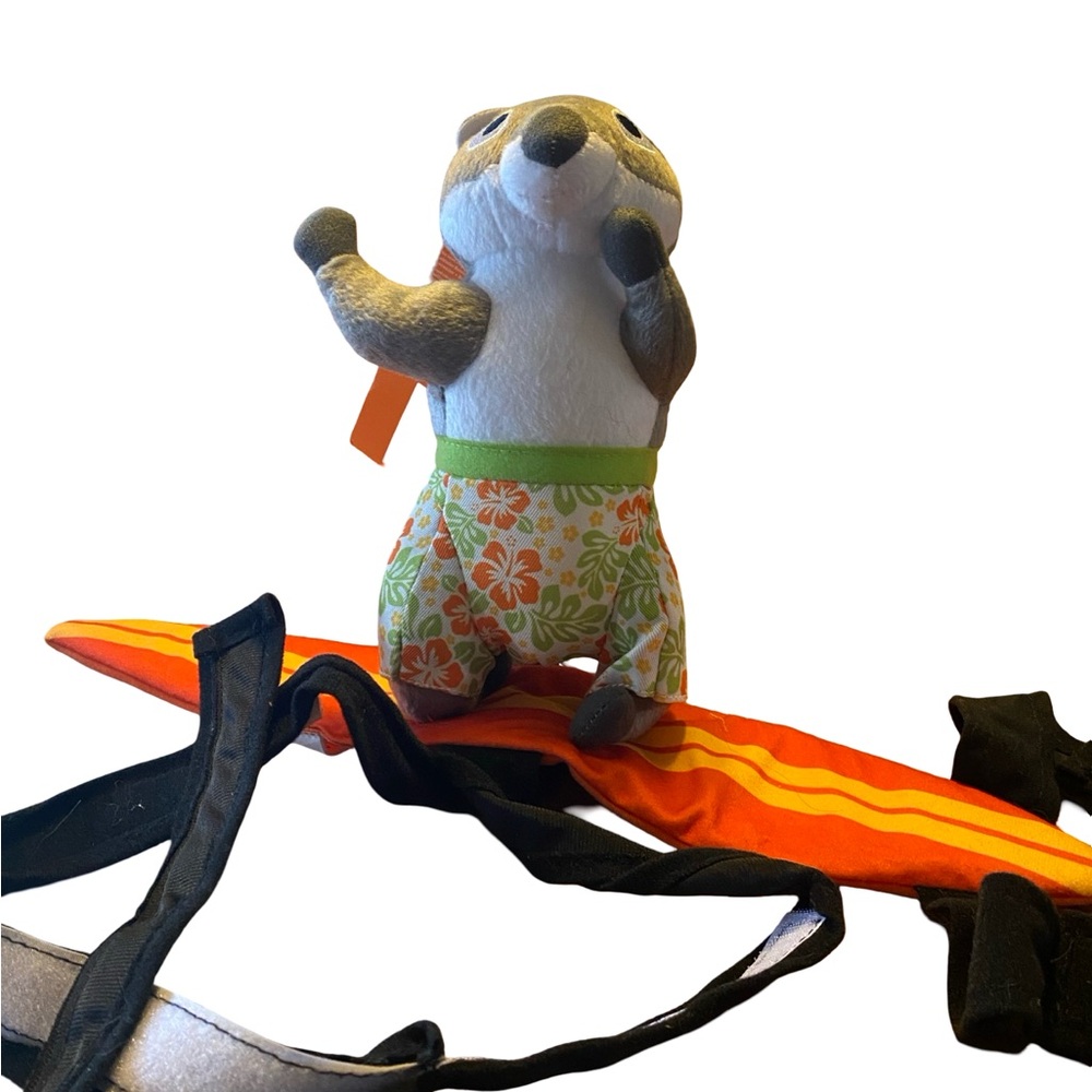 Squirrel on Surfboard dog costume - Picture 2 of 3